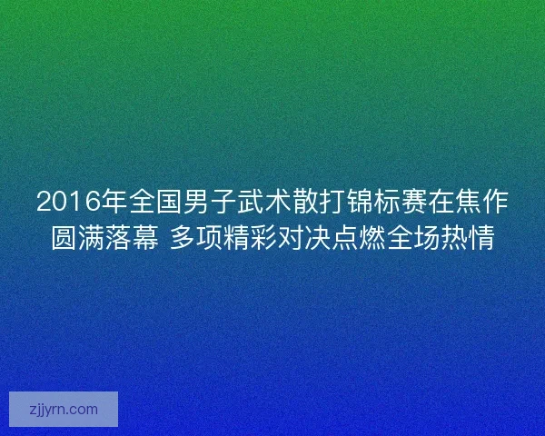 2016年全国男子武术散打锦标赛在焦作圆满落幕 多项精彩对决点燃全场热情