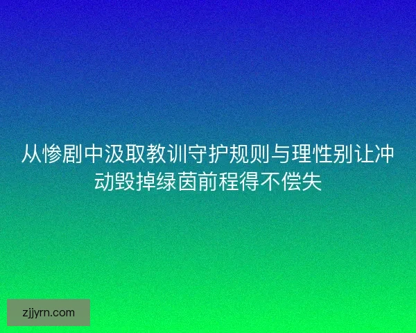 从惨剧中汲取教训守护规则与理性别让冲动毁掉绿茵前程得不偿失